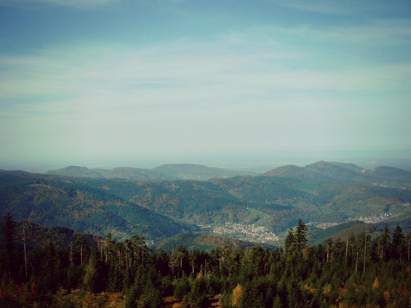 Hochmoor Kaltenbronn - Ausblick über den Schwarzwald