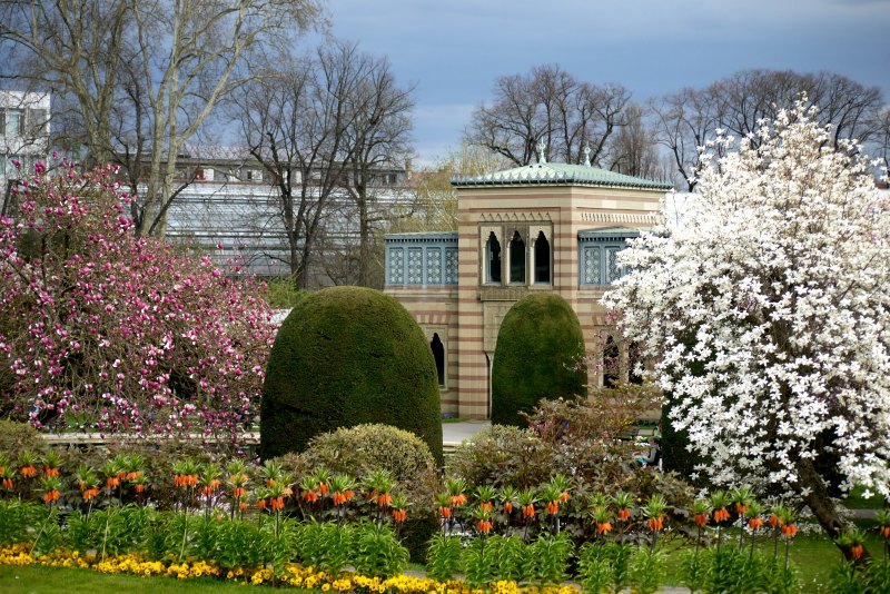 Der maurische Garten der Stuttgarter Wilhelma mit seinen Magnolienbäumen.