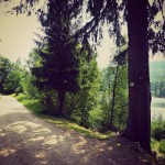 Rundweg um die Schwarzenbachtalsperre