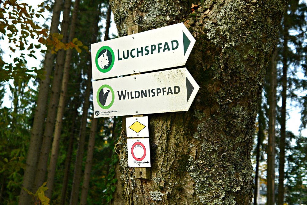 Gut ausgeschildert: Luchspfad im Schwarzwald bei Baden-Baden