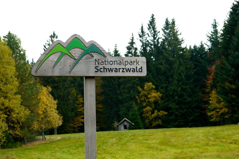 Der Luchspfad gehört zum Nationalpark Schwarzwald