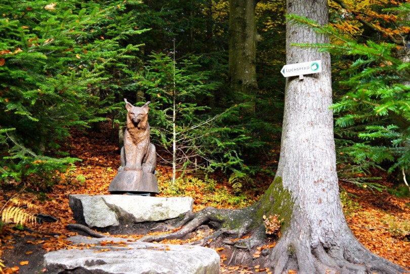 Wanderung auf dem Luchspfad bei Baden-Baden