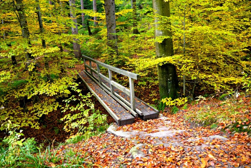 Wanderung auf dem Luchspfad bei Baden-Baden
