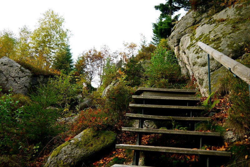 Steile Treppen auf dem Luchspfad