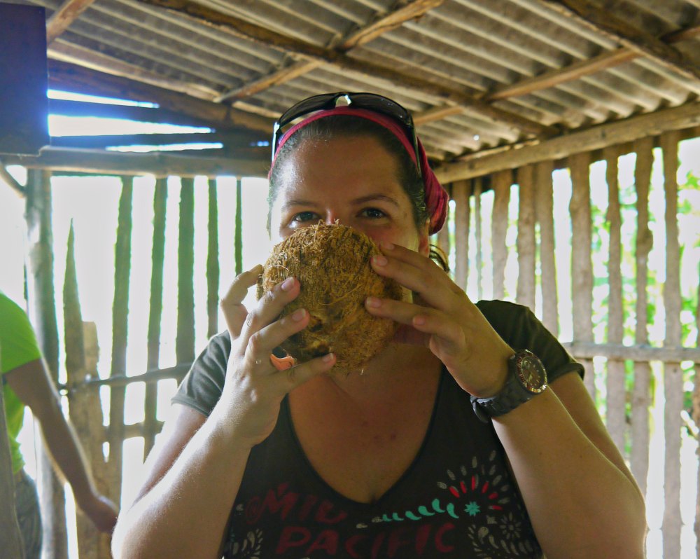 Baracoa: Frische Kokosmilch