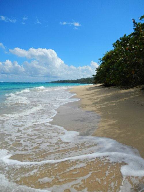 Strand bei Baracoa | Kuba: Playa Maguana