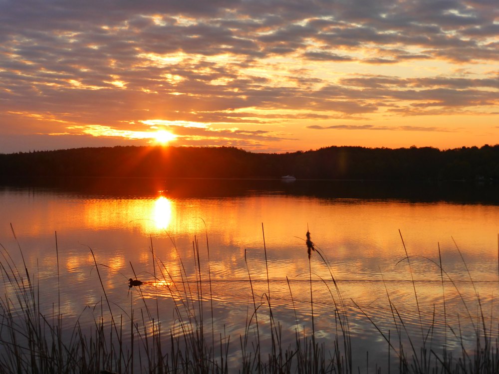 Sonnenaufgang am Templiner See, Potsdam