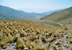 Peru: Altiplano