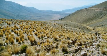 Peru: Altiplano