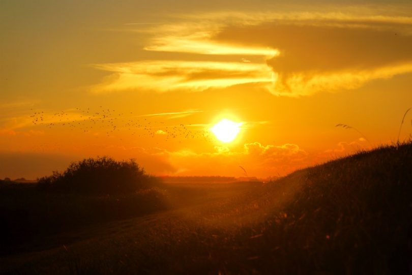 Sort Sol Auf Der Suche Nach Der Schwarzen Sonne Danemarks