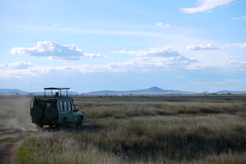 Ostafrika: Safari in der Serengeti