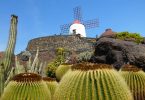 Lanzarote: Kakteengarten Jardin de Cactus