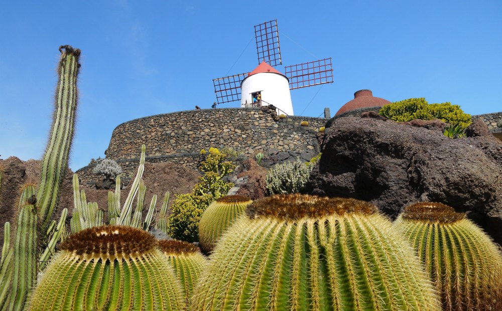 Lanzarote: Kakteengarten Jardin de Cactus