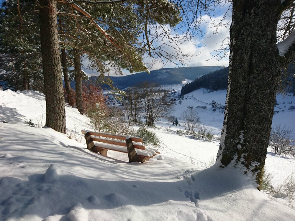 Winterwanderung zur Satteleihütte in Baiersbronn