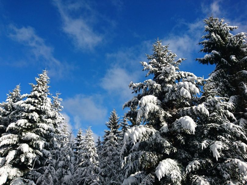 Elegantes Schne Stdte Im Schwarzwald Bilder