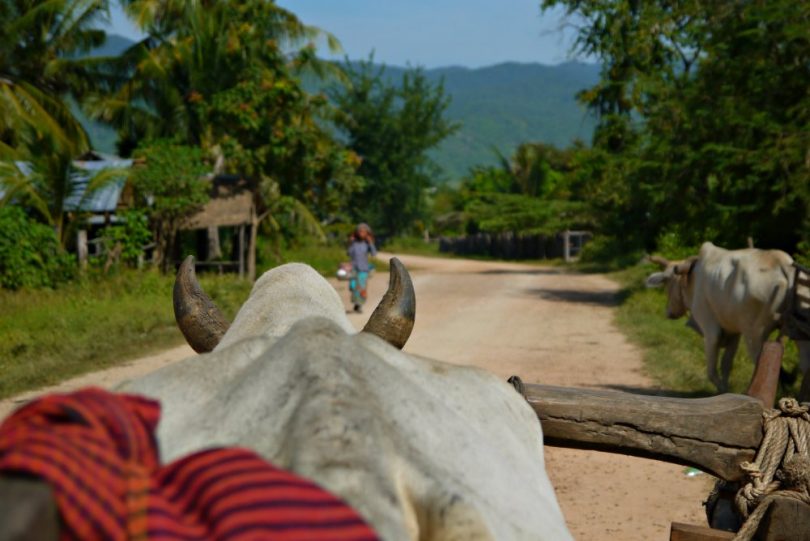 Kambodscha: Homestay im Eco Village Chambok