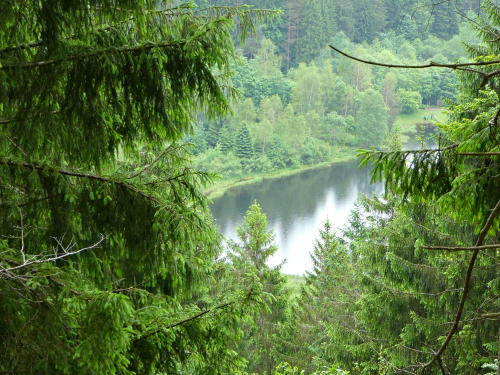 Blick vom Sankenbachsteig hinunter auf den Sankenbachsee: Wanderung im Nordschwarzwald