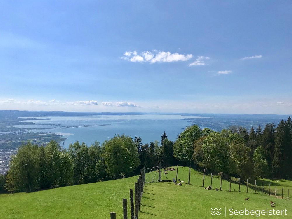 Top 2 Bodensee-Aussicht: Blick vom Pfänder | Bild: Seebegeistert