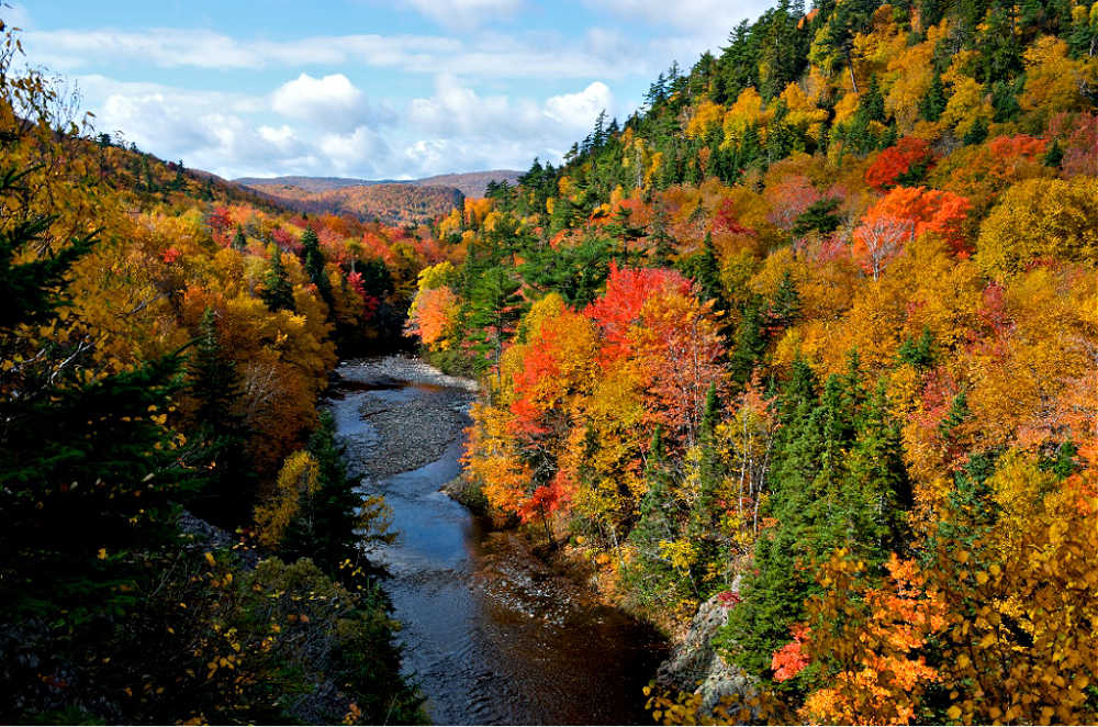 Nova Scotias farbenprächtiger Herbst am Cabot Trail | Photocredit: Tourism Nova Scotia (Photographer Wally Hayes)