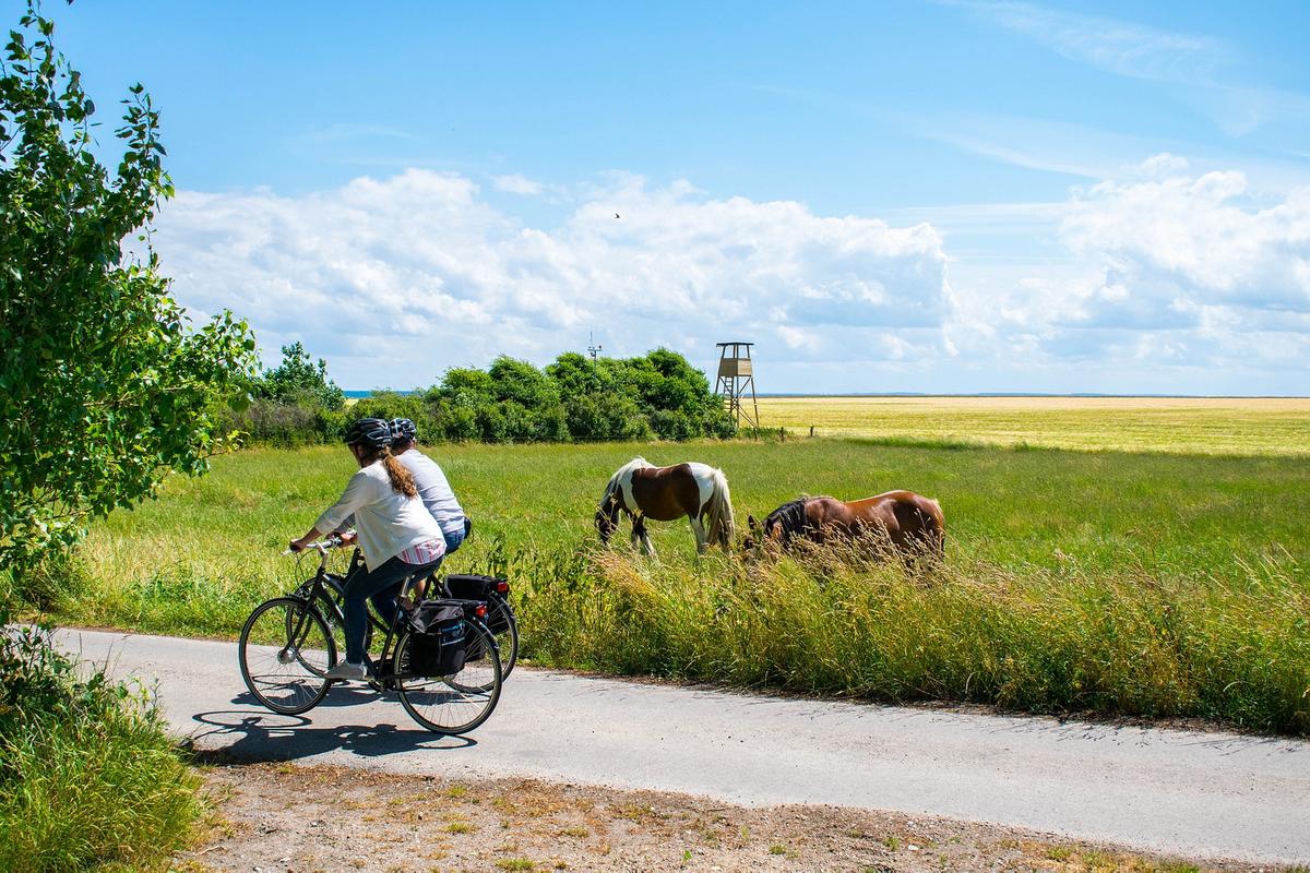 Mit dem Rad über die Insel | Foto: VisitDenmark