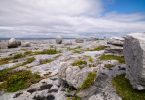 Best in Travel: Burren Ecotourism Network | Bild: Tourism Ireland