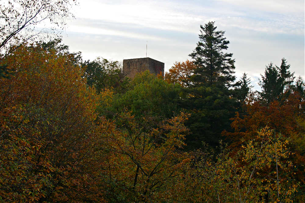 Burg Alt-Eberstein inmitten der herbstlichen Wälder