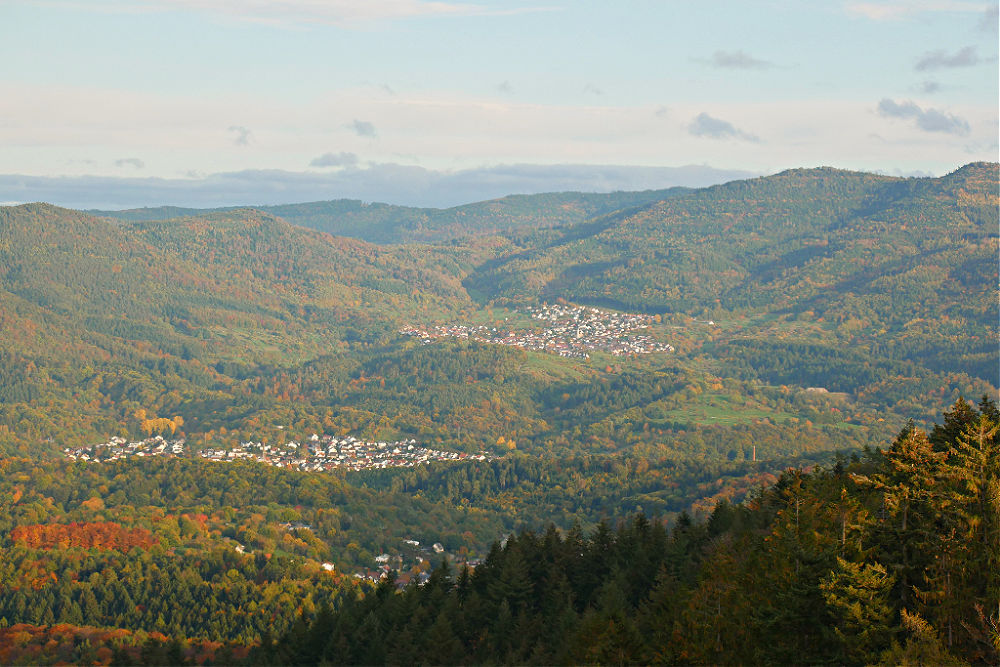 Goldener Herbst: Wunderschöne Herbst-Wanderungen im Schwarzwald