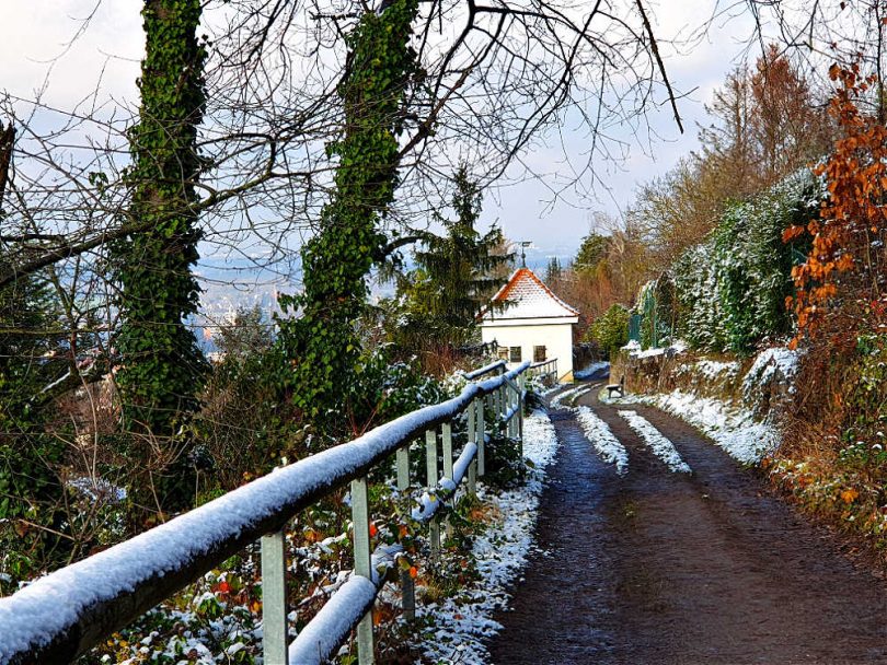 Kleine WinterWanderung Panoramaweg am Wattkopf in Ettlingen