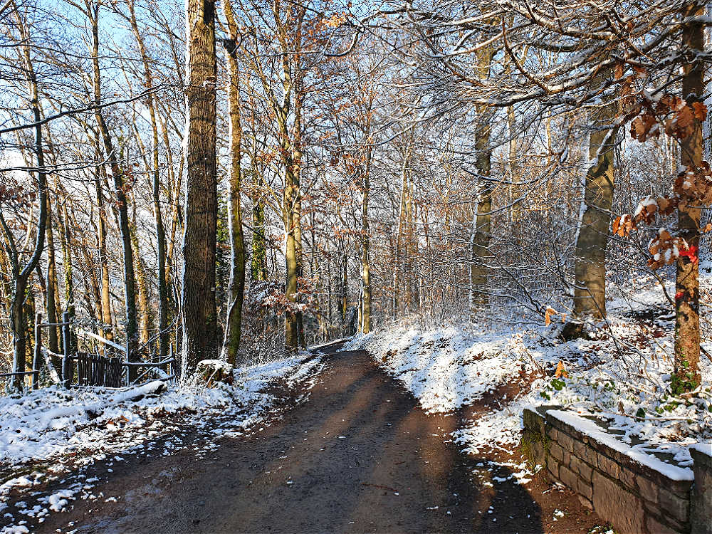 Durch den winterlichen Ettlinger Stadtwald