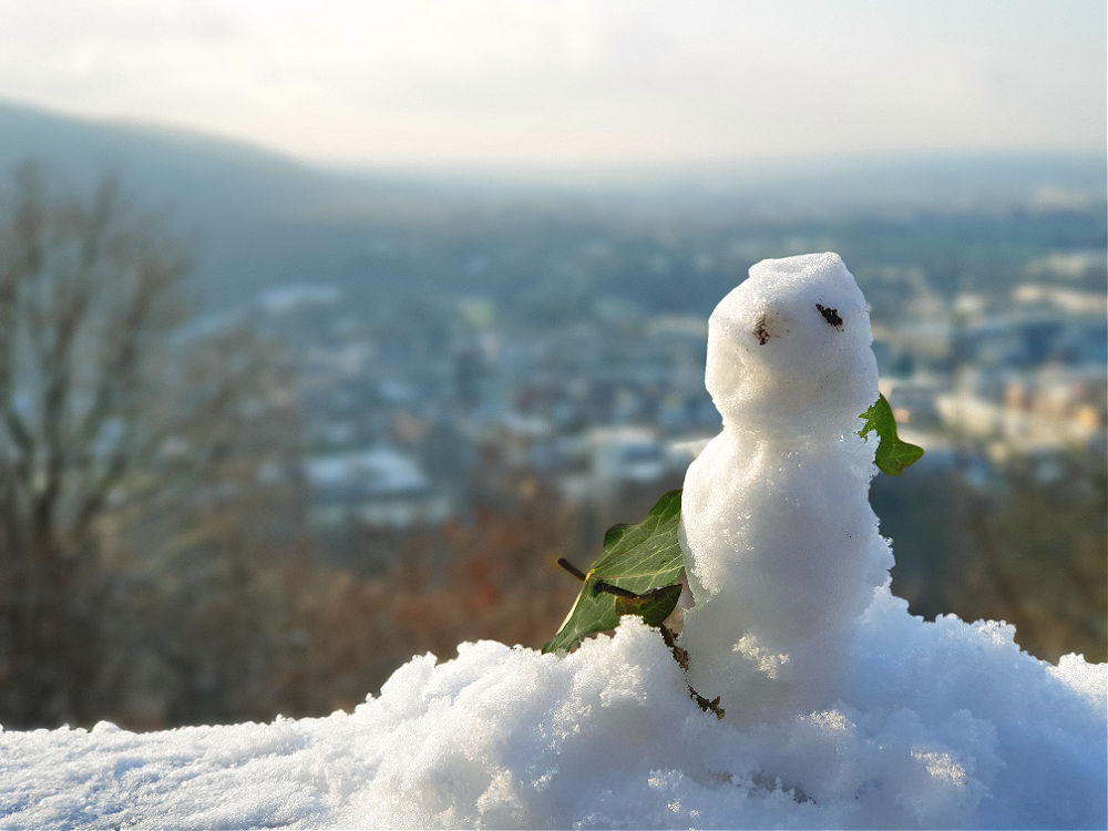 Auch der Mini-Schneemann hat eine tolle Aussicht über Ettlingen
