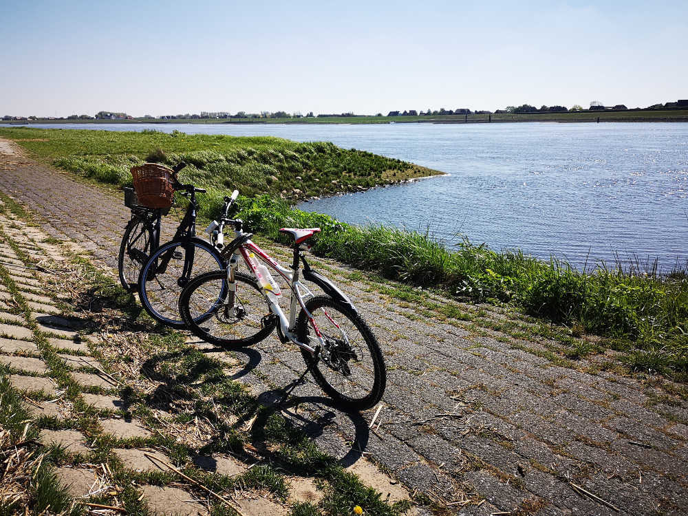 Fahrradtour entlang der Elbe | Bild: MS Well Travel