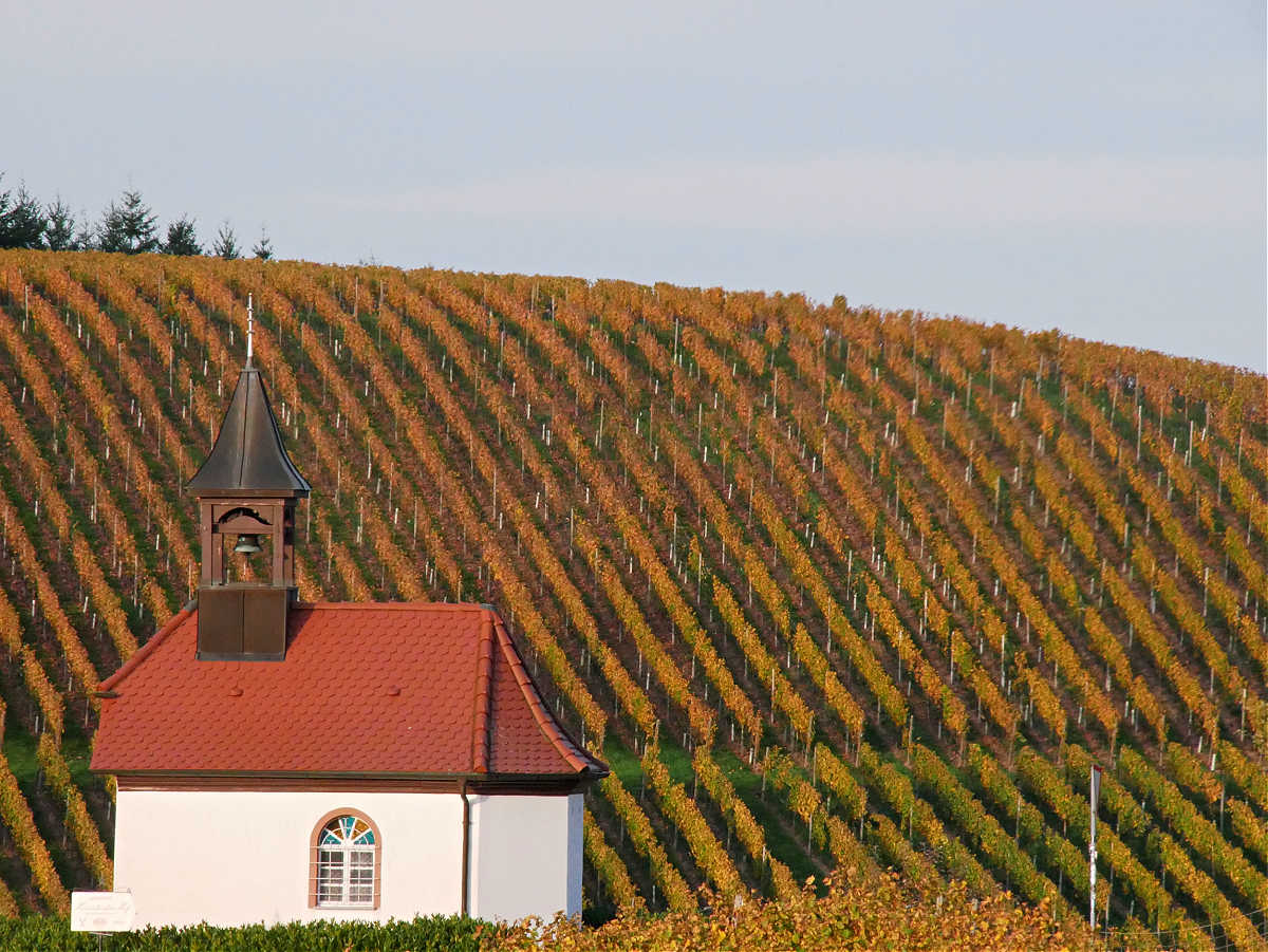 Durbacher Weinpanorama: Brandstetter Kapelle