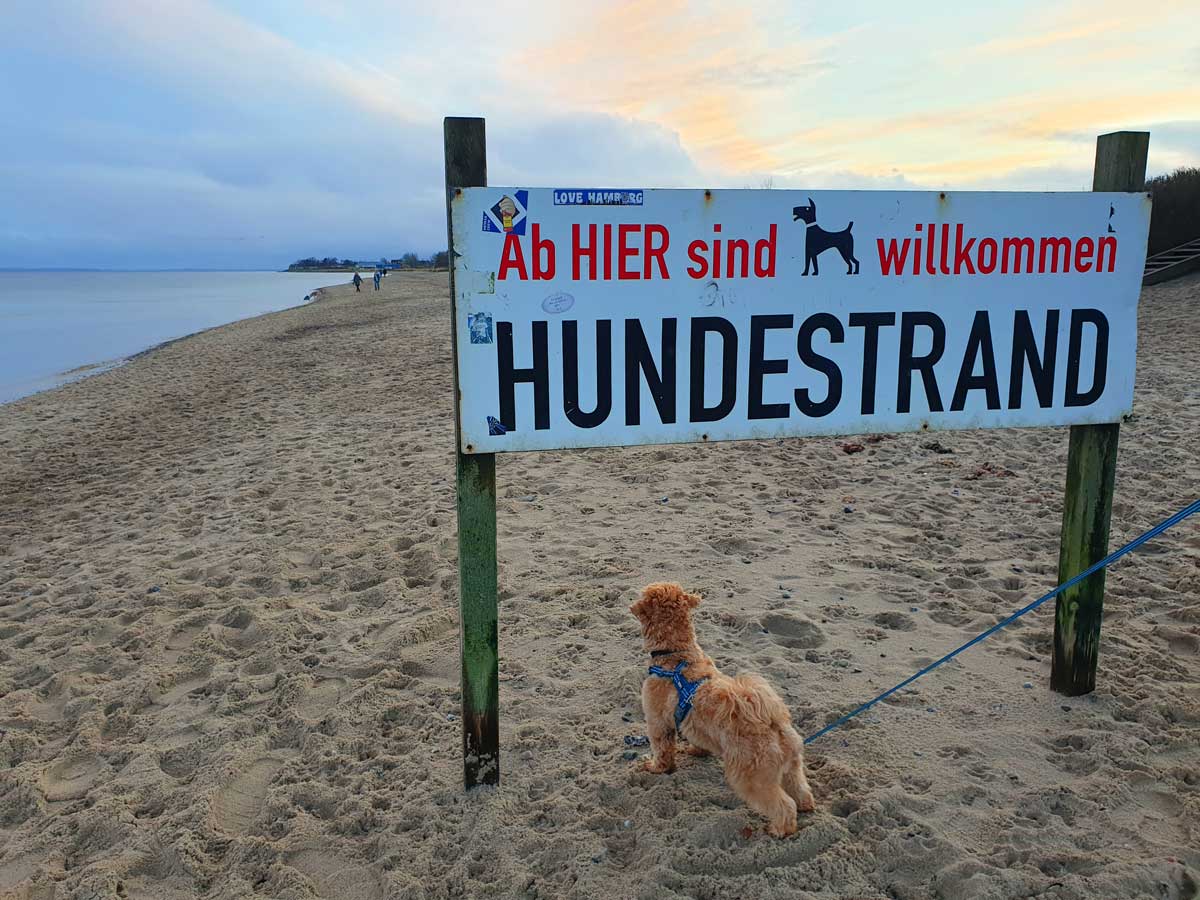 Hundestrand Schönhagen an der Ostsee