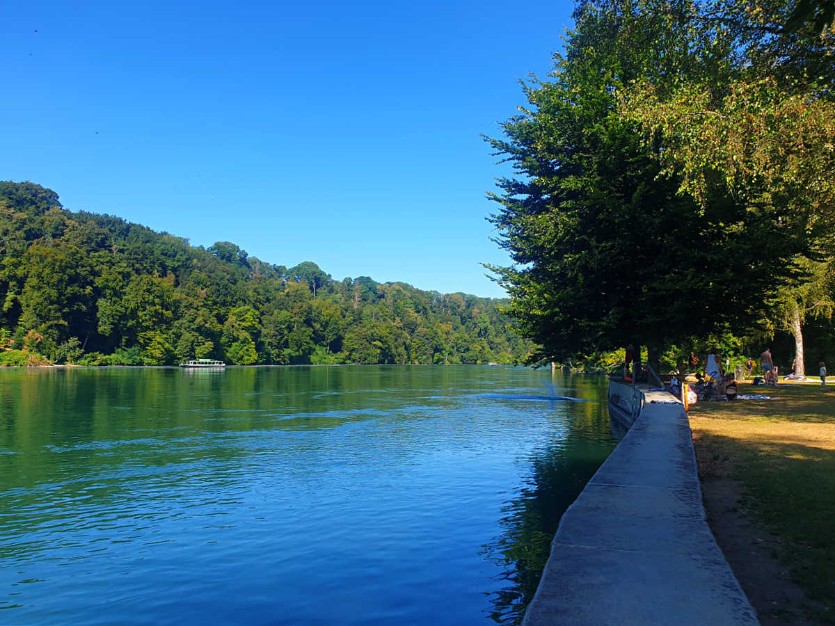 Schwimmen im Rhein am Badi Dachsen