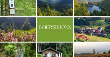 Baiersbronn: Wo Wandern zum Genusserlebnis wird