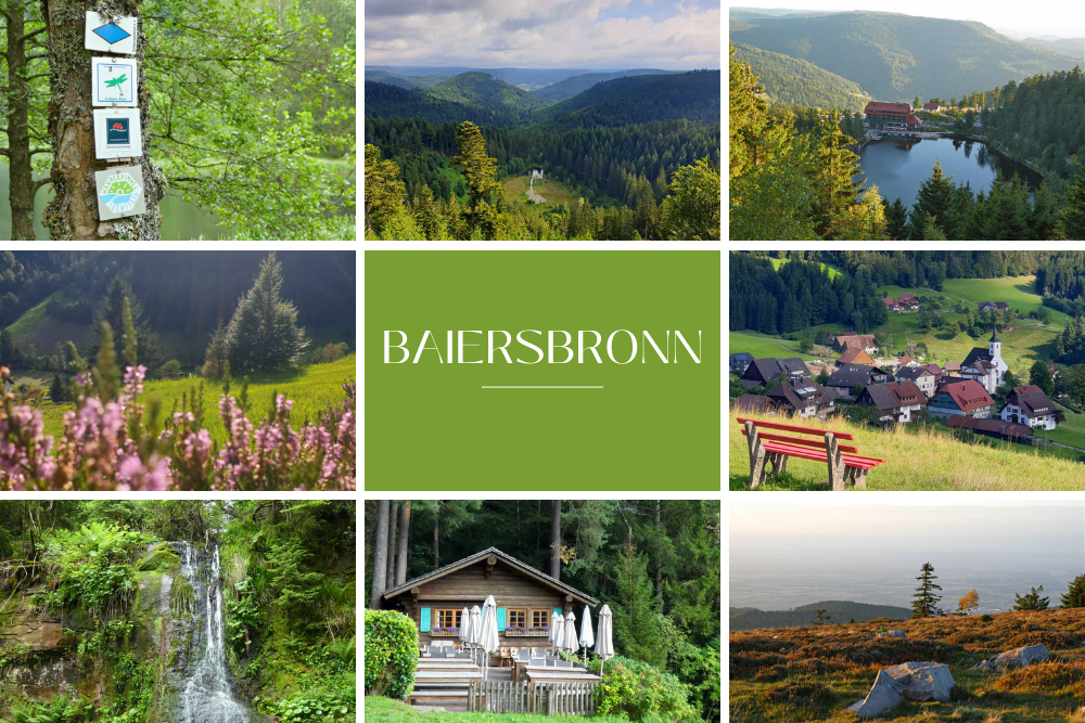 Baiersbronn: Wo Wandern zum Genusserlebnis wird