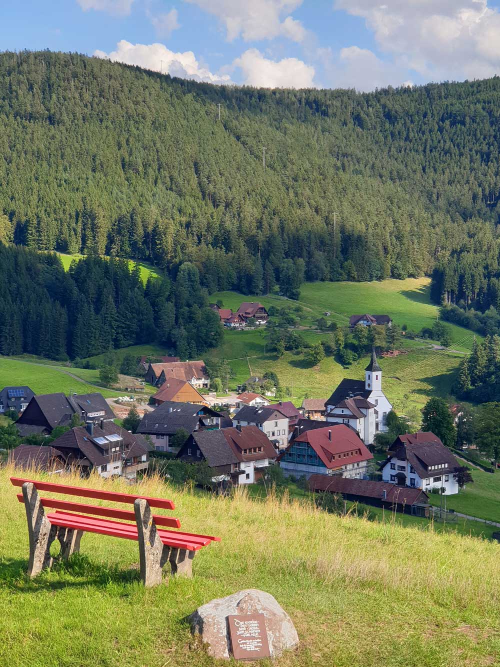 Baiersbronner Panoramasteig
